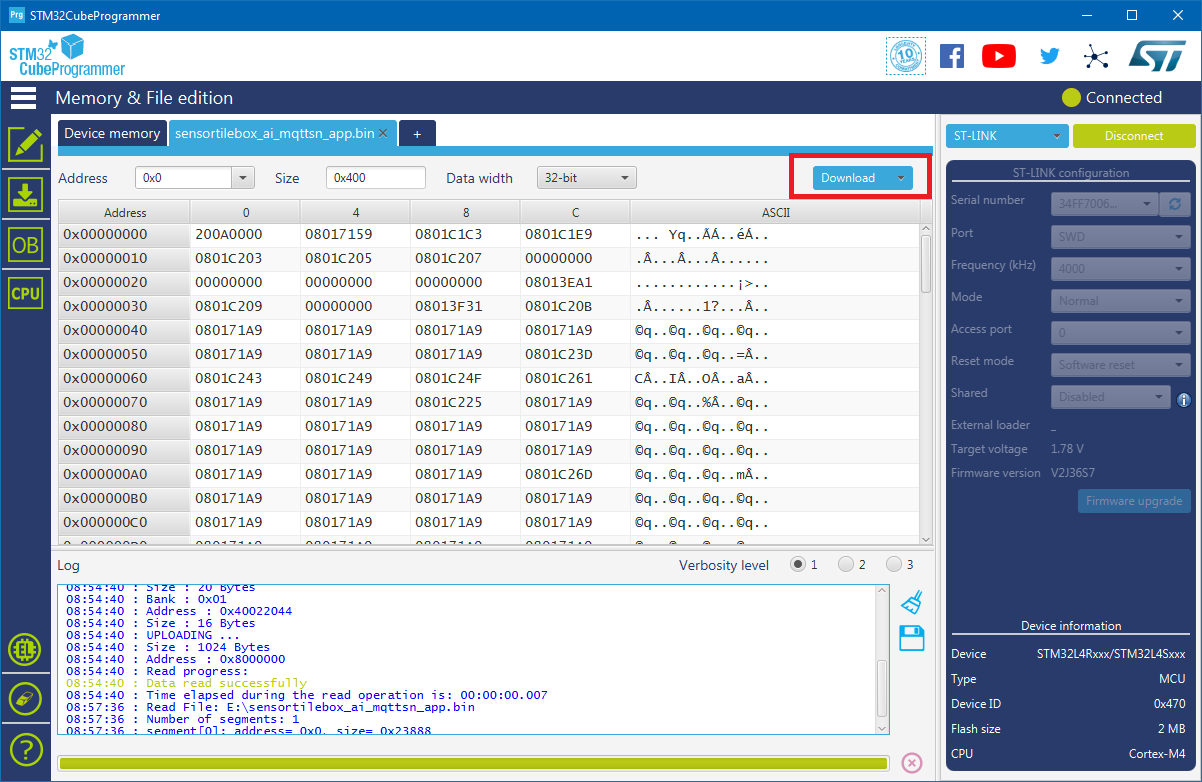 STM32 Cube Programmer Downloading