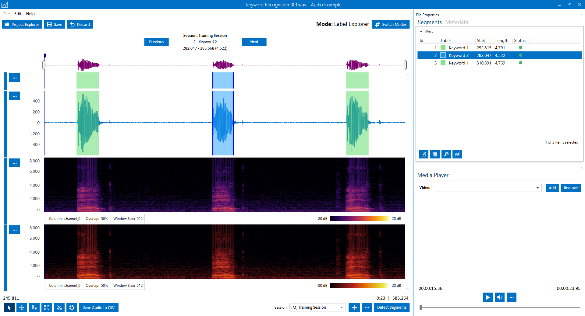 ../_images/dcl-spectrogram-segment-track.png