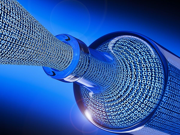 Data Bottleneck